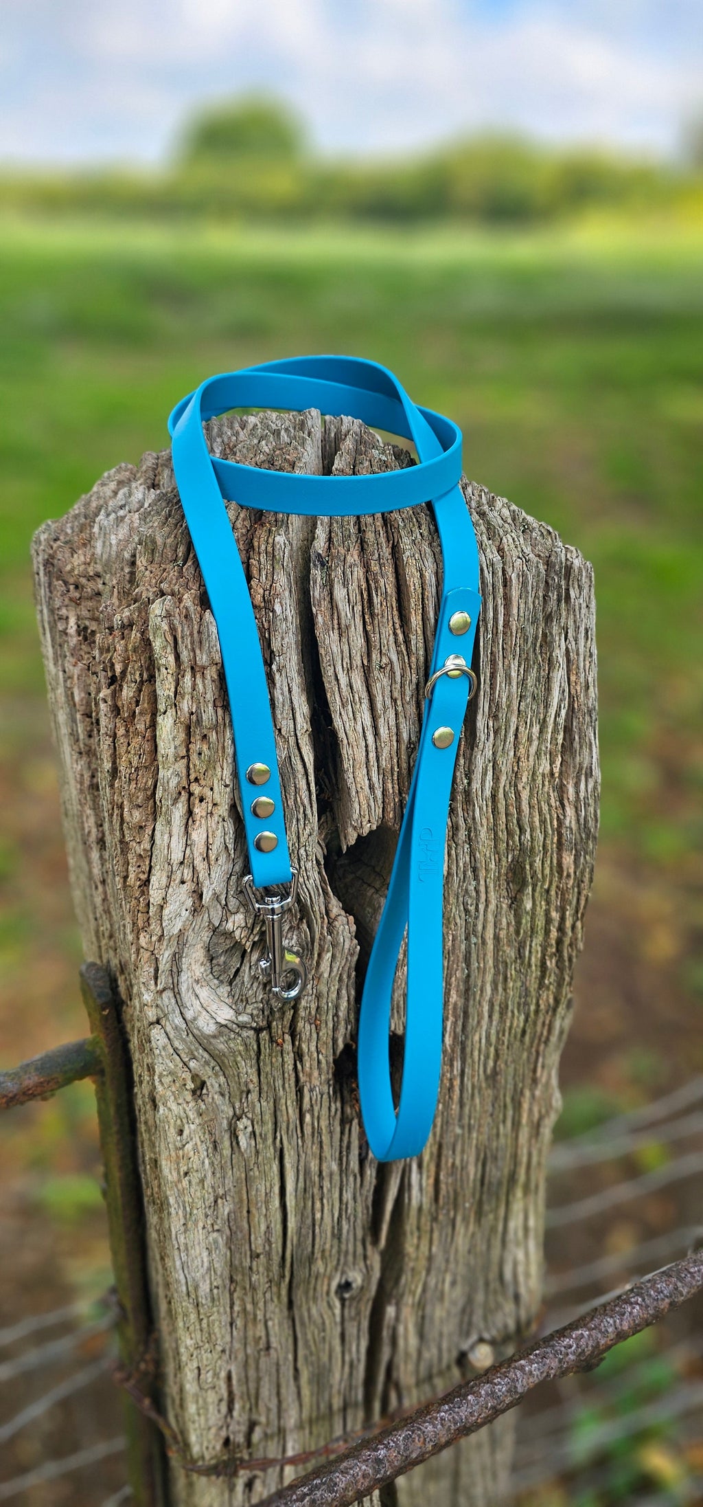 Blue Waterproof BioThane Dog Lead – 4ft & 5ft