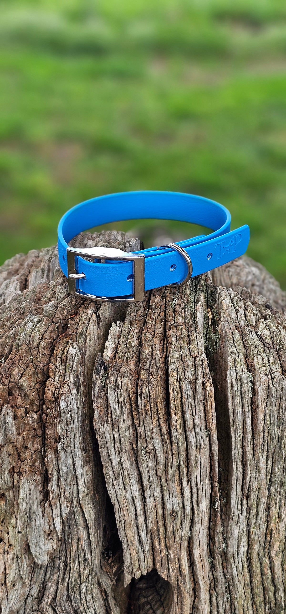 Blue Waterproof BioThane Dog Collar – XS to XXL