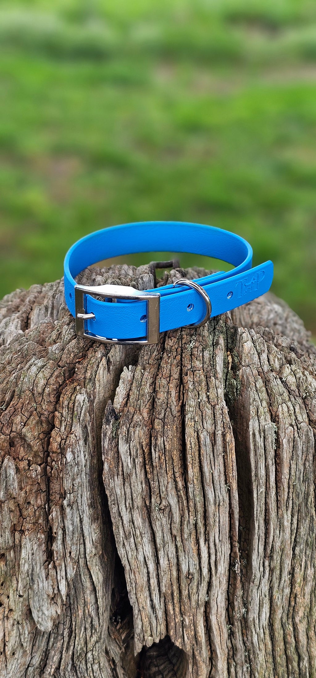 Blue Waterproof BioThane Dog Collar – XS to XXL