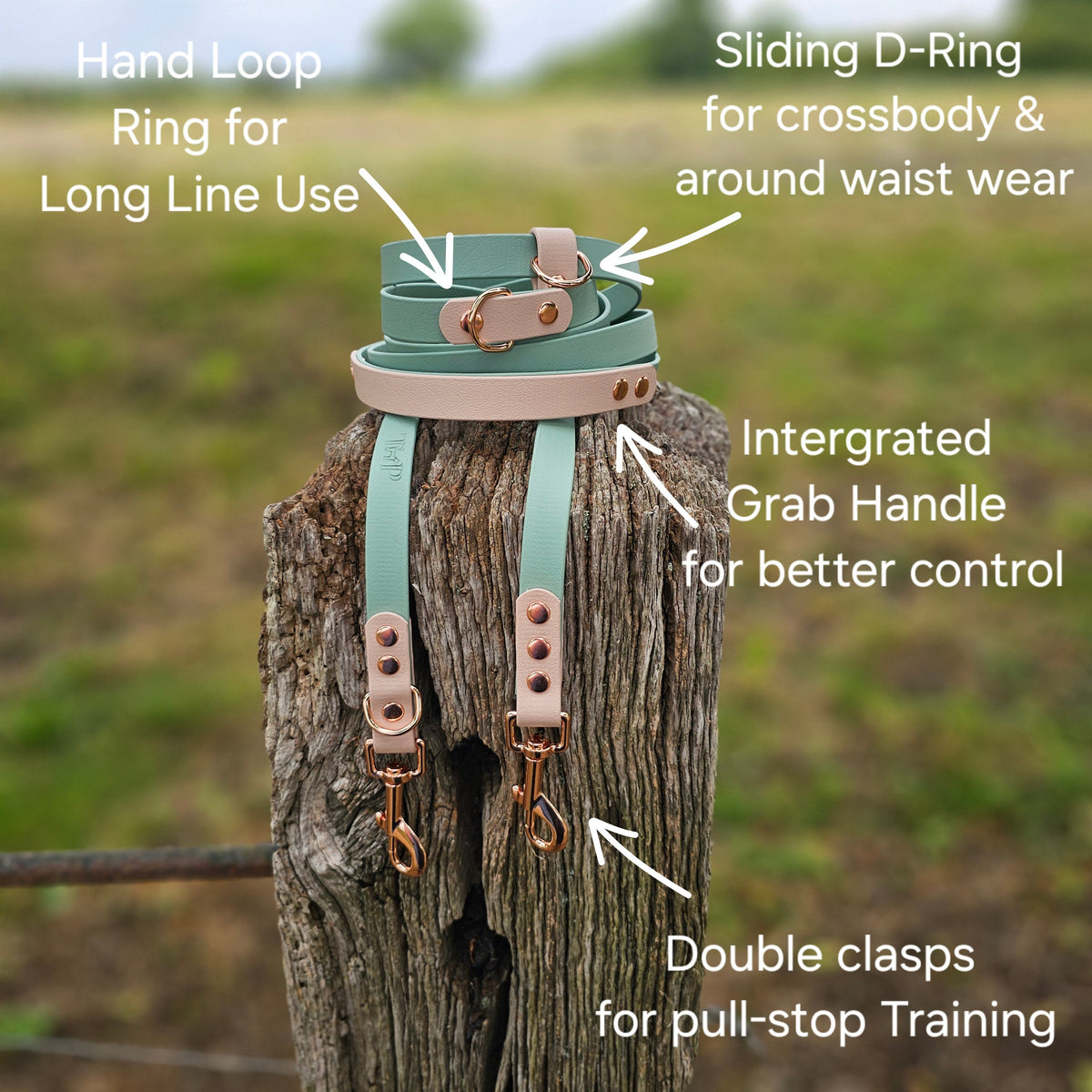 Burgundy Waterproof Hands-Free Dog Training Lead – 8ft