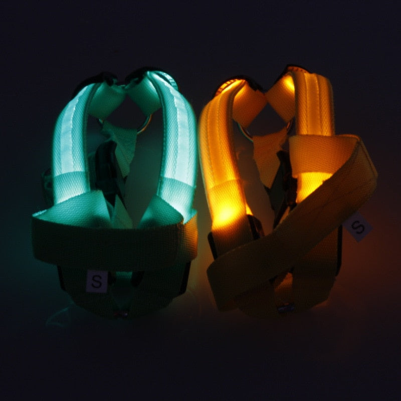 LED Night-Visibility Dog Harness