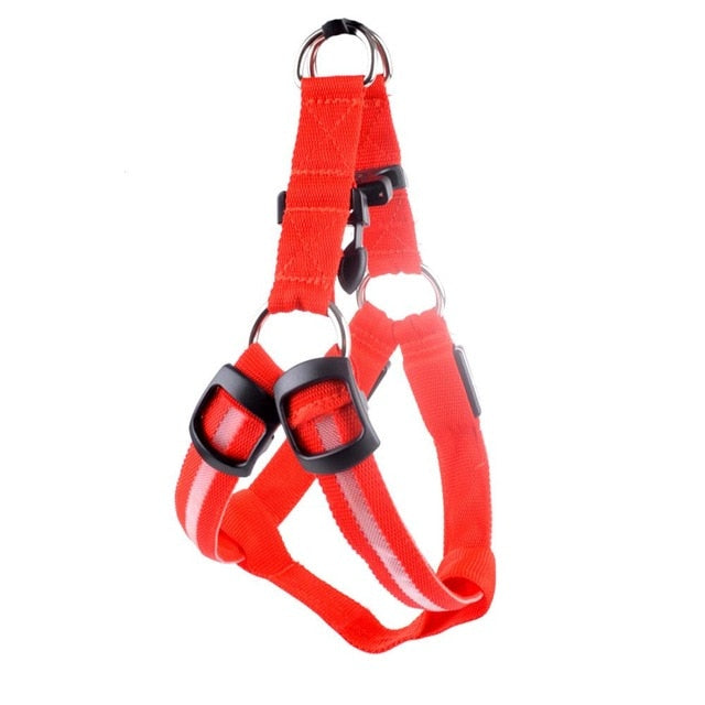 LED Night-Visibility Dog Harness