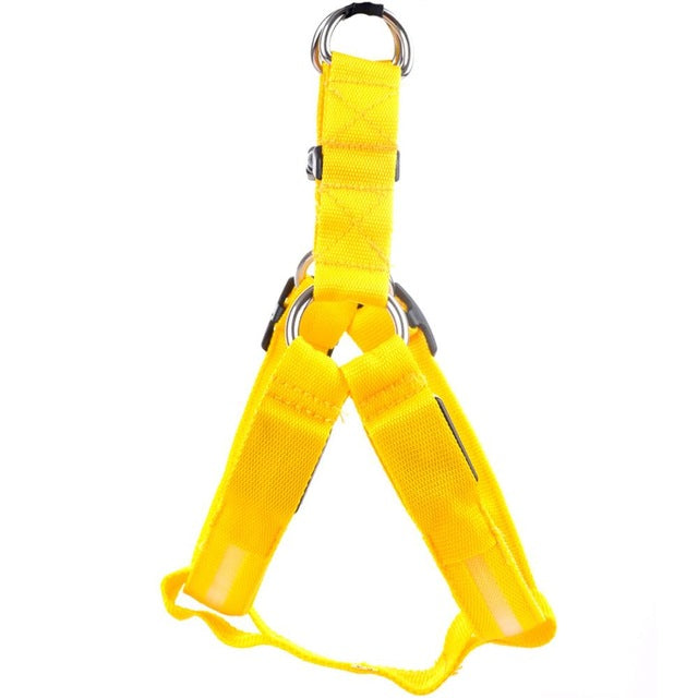 LED Night-Visibility Dog Harness