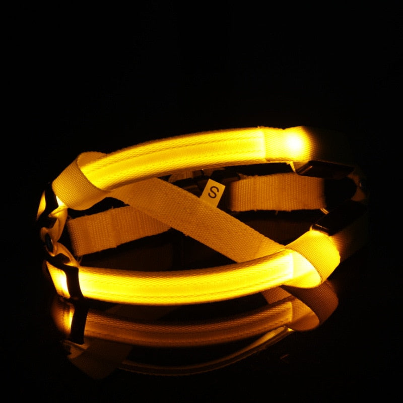 LED Night-Visibility Dog Harness