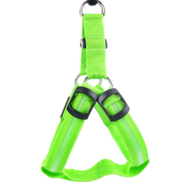 LED Night-Visibility Dog Harness