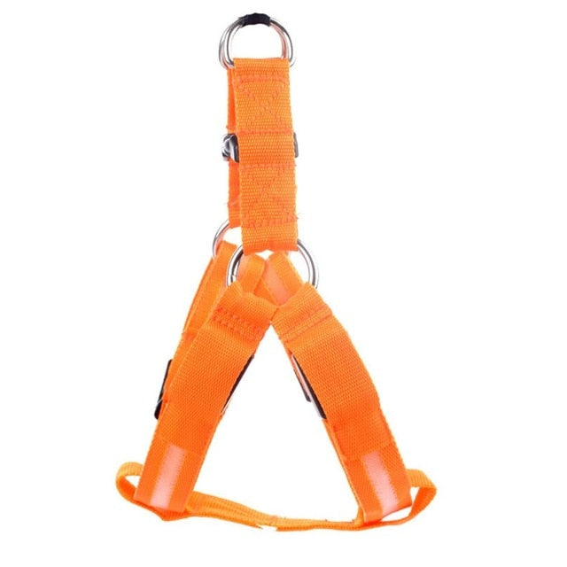 LED Night-Visibility Dog Harness
