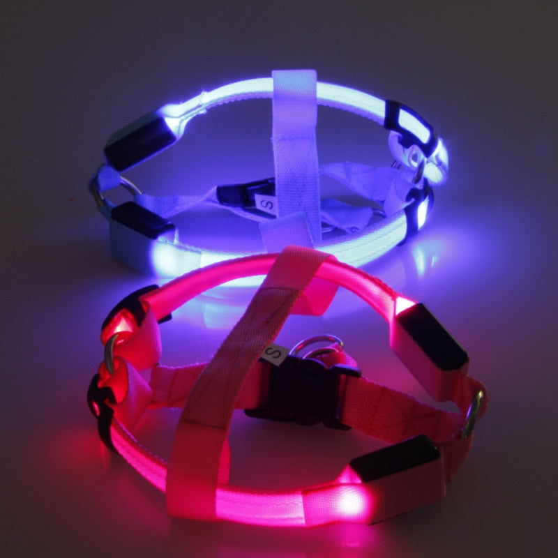 LED Night-Visibility Dog Harness