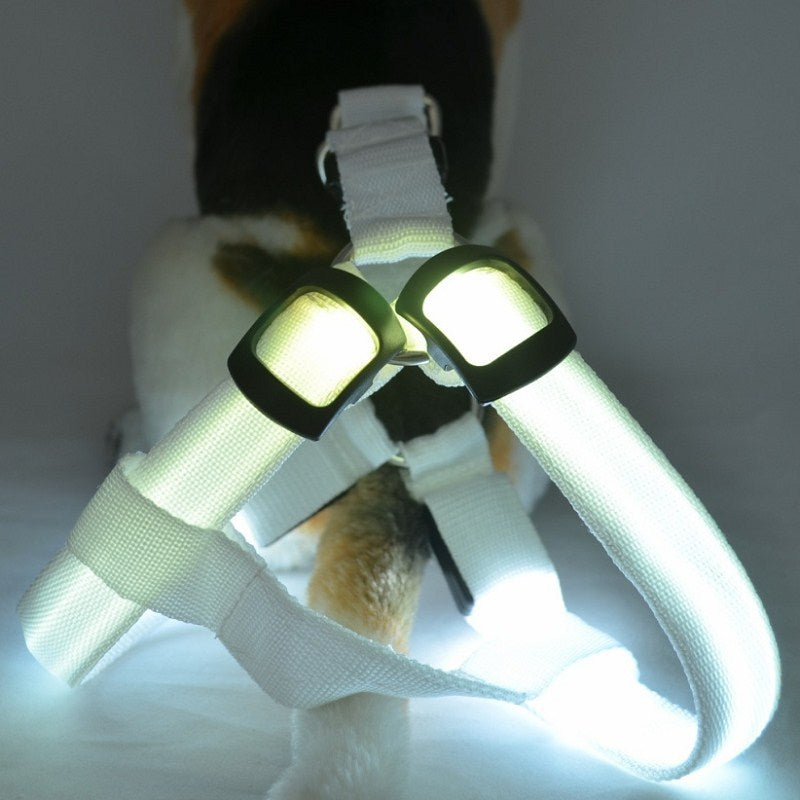 LED Night-Visibility Dog Harness