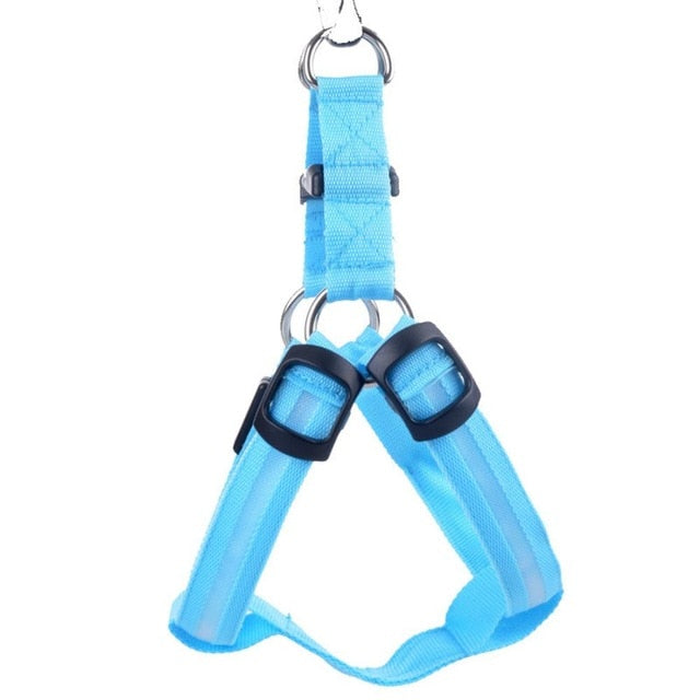 LED Night-Visibility Dog Harness