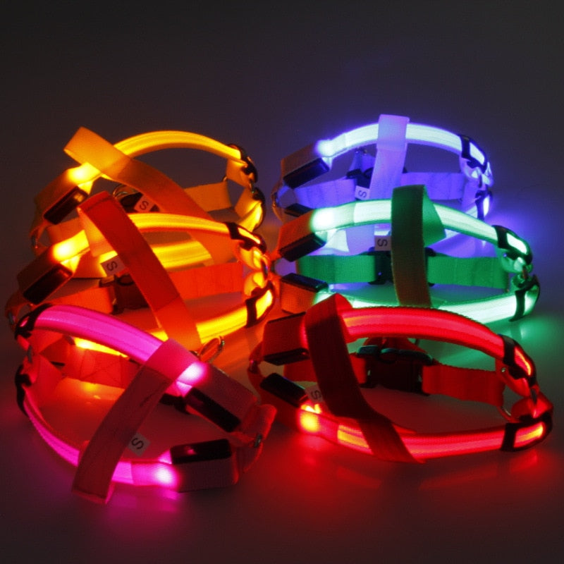 LED Night-Visibility Dog Harness