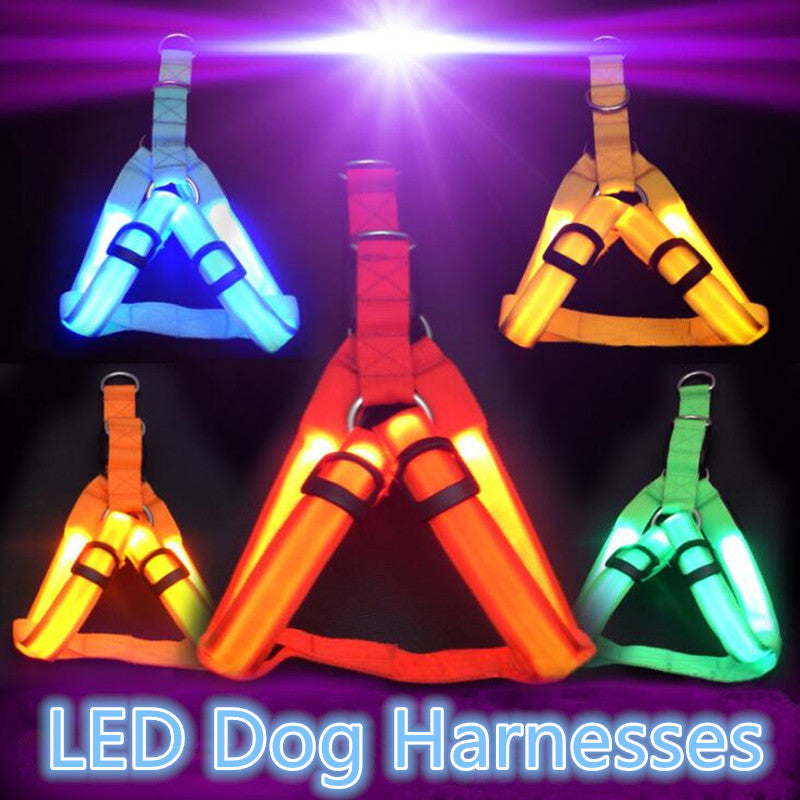 LED Night-Visibility Dog Harness
